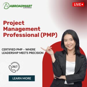 PMP(Project Management Professional)